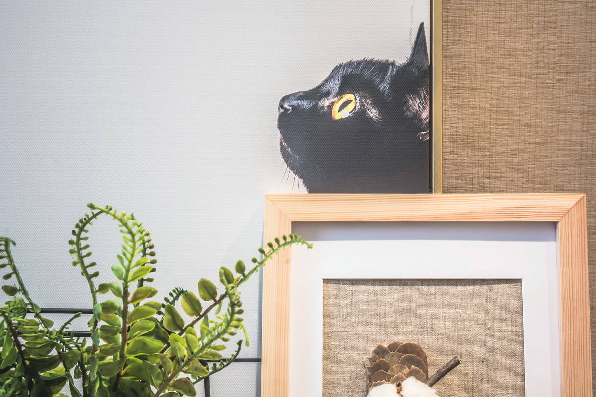 現(xiàn)代公寓(圖6)